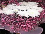 Магазин цветов Аквамарин фото - доставка цветов и букетов
