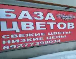 Магазин цветов База цветов фото - доставка цветов и букетов