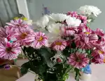 Магазин цветов Бизнес букет фото - доставка цветов и букетов