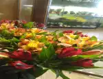 Магазин цветов Botanica фото - доставка цветов и букетов