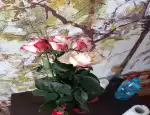 Магазин цветов Bouquet фото - доставка цветов и букетов