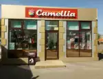 Магазин цветов Camellia фото - доставка цветов и букетов