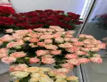 Магазин цветов Цвет-Букет фото - доставка цветов и букетов