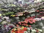 Магазин цветов Цветочный каприз фото - доставка цветов и букетов