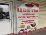 Магазин цветов Цветочный магазин фото - доставка цветов и букетов