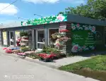 Магазин цветов Цветы для всех фото - доставка цветов и букетов