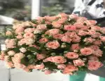 Магазин цветов Цветы мелисса фото - доставка цветов и букетов