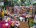 Магазин цветов Цветы30 фото - доставка цветов и букетов