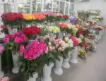 Магазин цветов FLORA SERVICE фото - доставка цветов и букетов