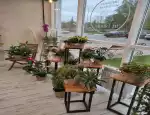 Магазин цветов in bloom фото - доставка цветов и букетов