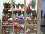 Магазин цветов Купидон фото - доставка цветов и букетов
