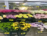 Магазин цветов Орхидея фото - доставка цветов и букетов