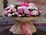 Магазин цветов Роза-мимоза фото - доставка цветов и букетов