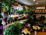Магазин цветов Семицветик фото - доставка цветов и букетов